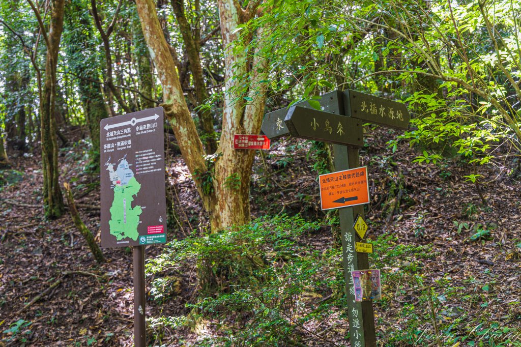 [桃園]北插天山磨練之旅_2532897