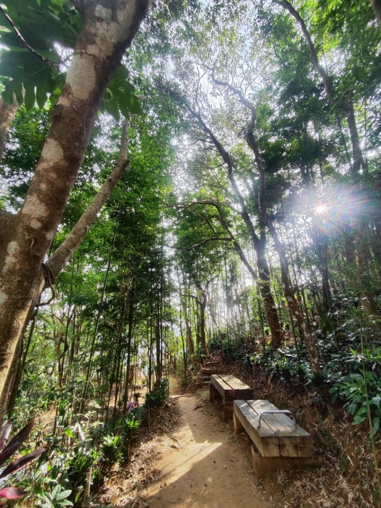 新店到貓空10K（台北天際線1部份路段）封面圖