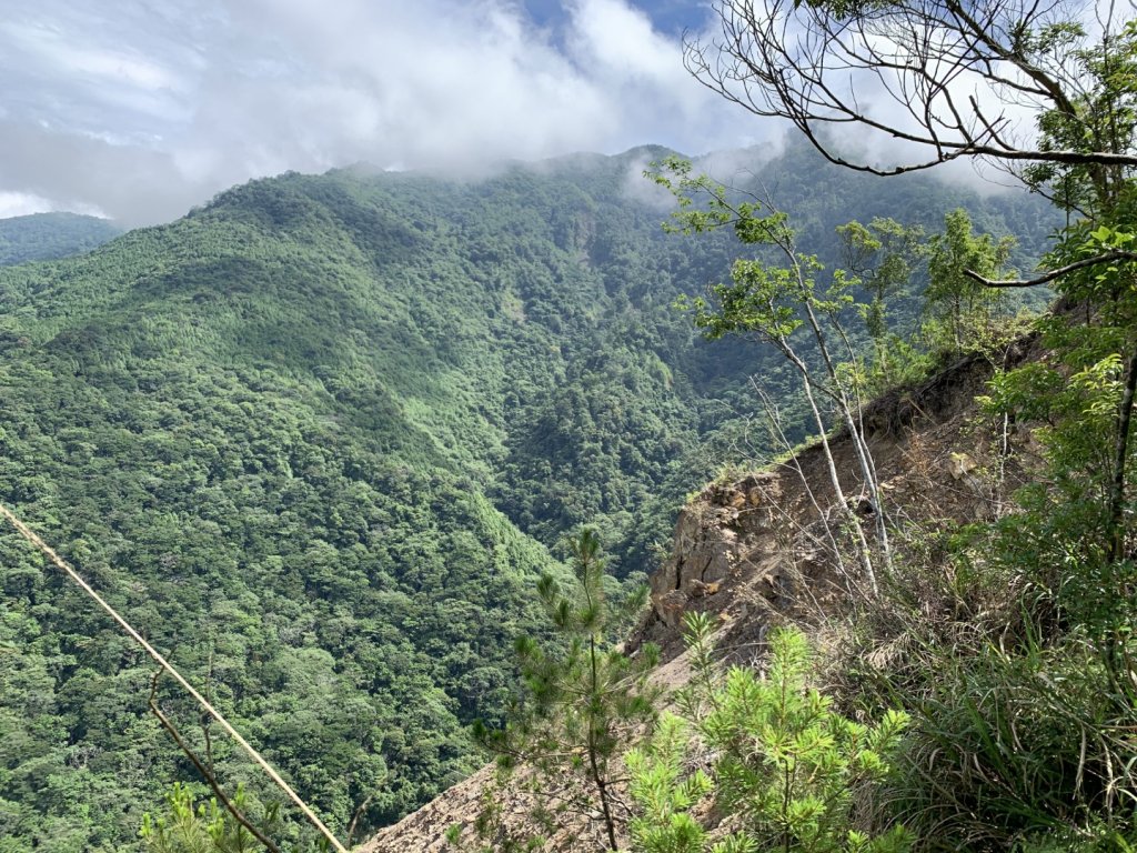 百川山2020/7/7_1027848