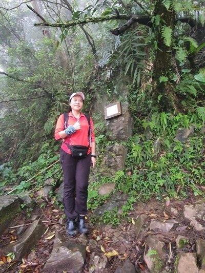 【花蓮秀林鄉】立霧山步道_905352