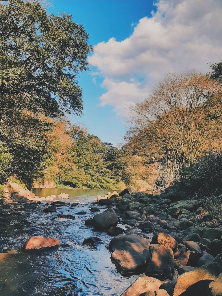 陽明山神秘綠境 • 鹿角坑保護區_2038671