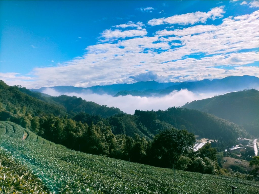 雲嘉連峰_2365674