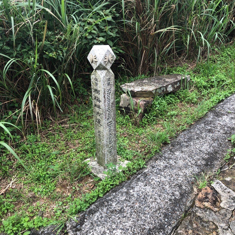 6/1燦光寮古徑 探險級路線~_2517646