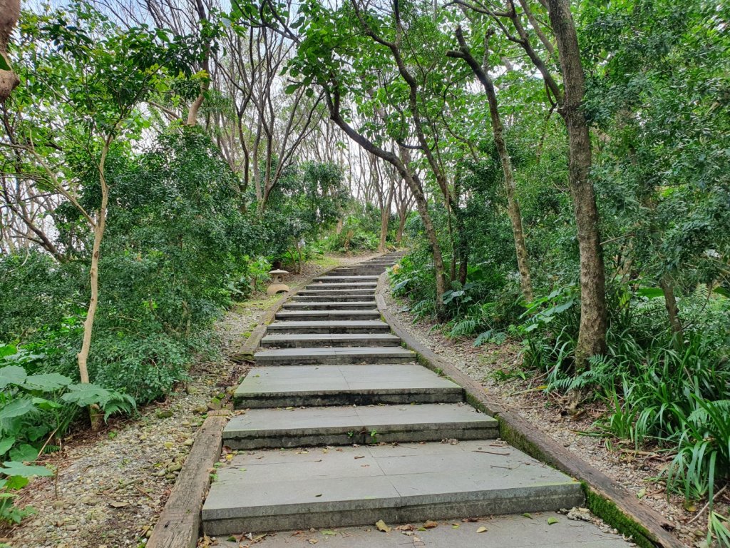 美崙山步道_1268742