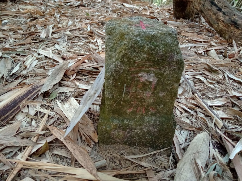 202200312南投國姓十二份山、長石巷山、九份二山、崁斗山、鹿角山風景基石_1637542