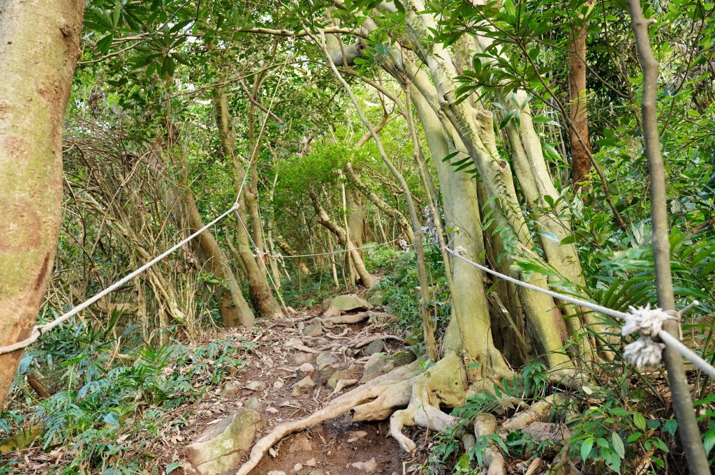 新北 八里 觀音山、牛港稜山_2681329