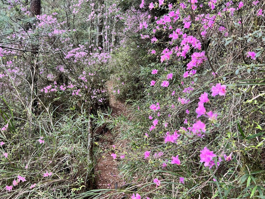 將軍廟上天鑾池上下_2162792