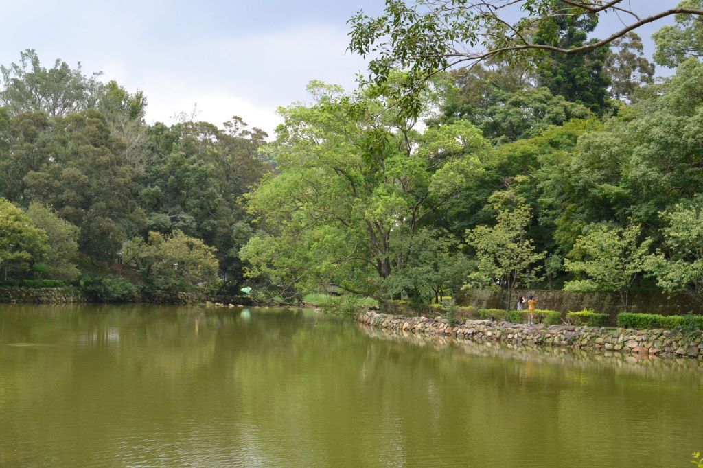 角板山公園環湖步道_379873