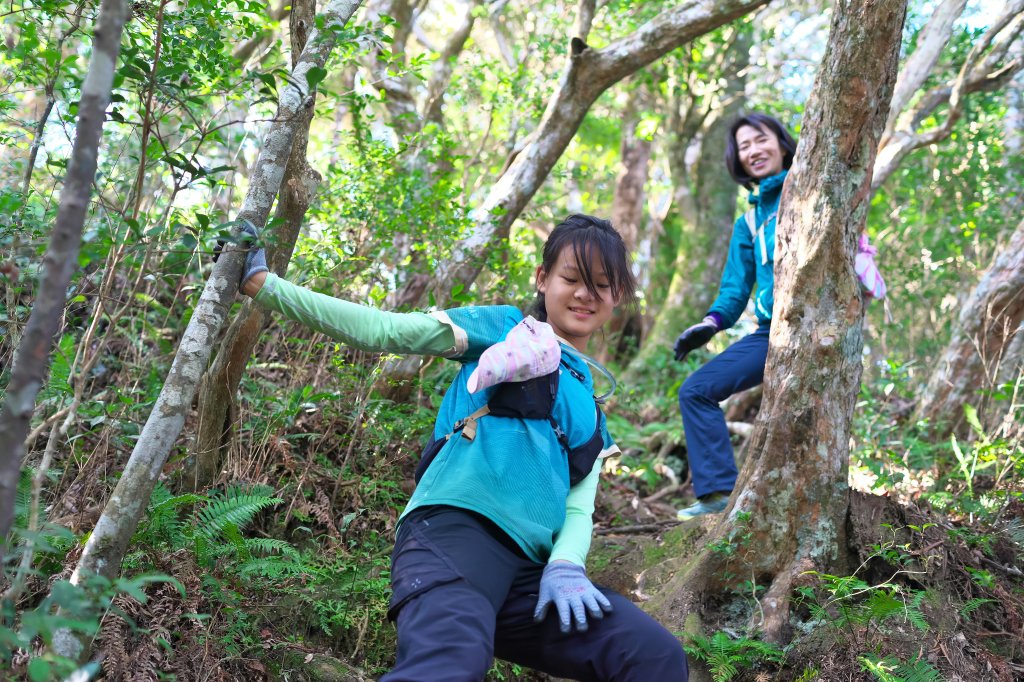 嘎色鬧登那結山_2392511