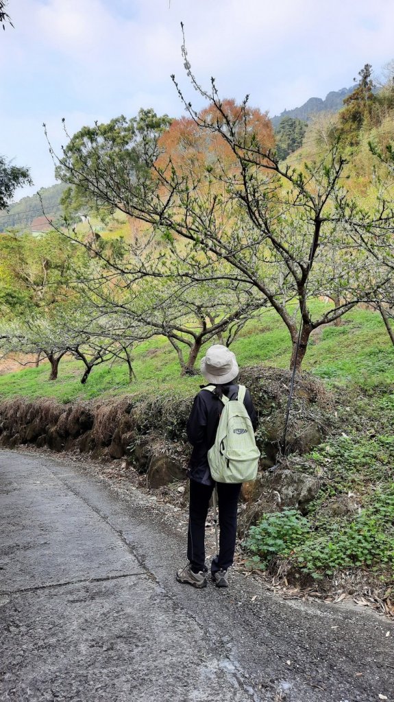 《苗栗》馬那邦山｜ 上湖線＞天然湖O巡20210220_1277486