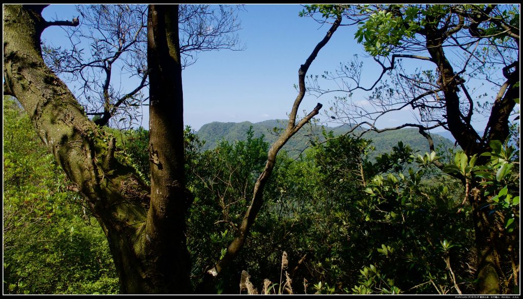 菁桐古道-耳空龜山-四分尾山-大尖山_308672