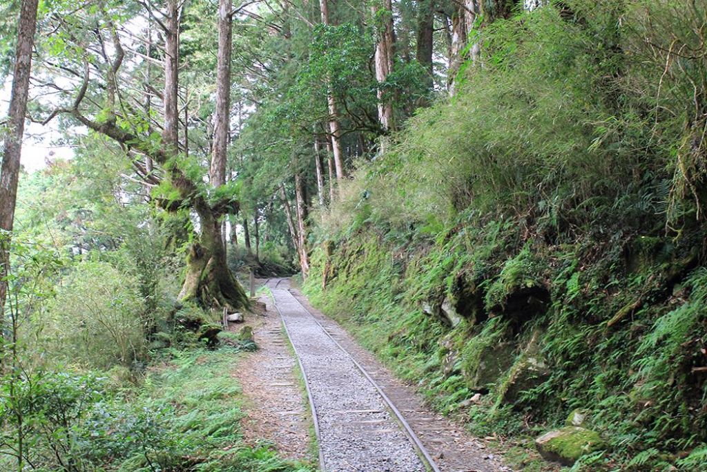 見晴懷古步道_305081