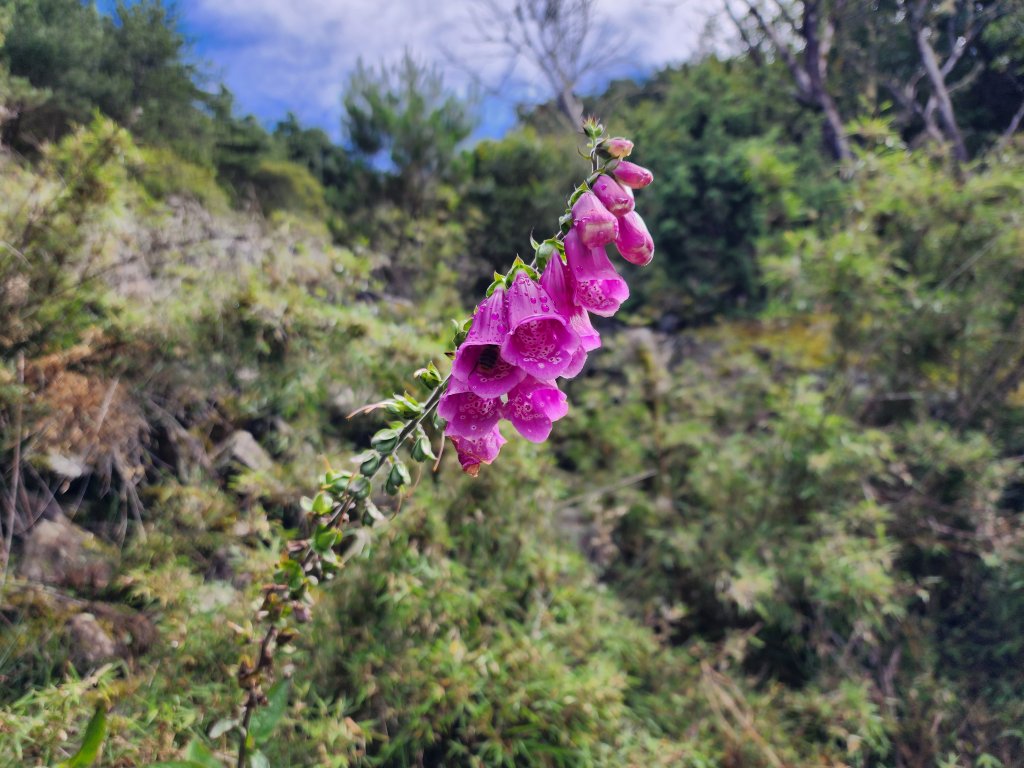 玉山主峰．北峰．西峰之美_2394965