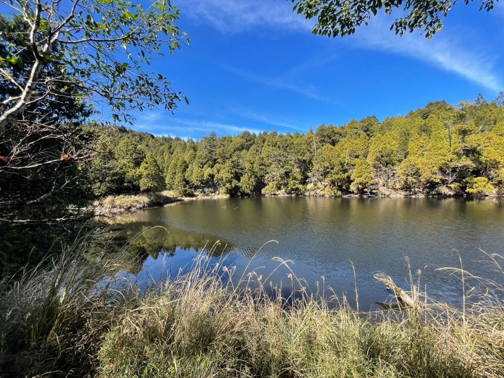 三星山+三星池+望洋山+太平山山毛櫸_2432875
