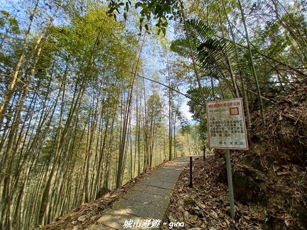 【南投魚池草屯】竹海漫步超悠閒。 孟宗竹林古戰場x中興新村_2071486