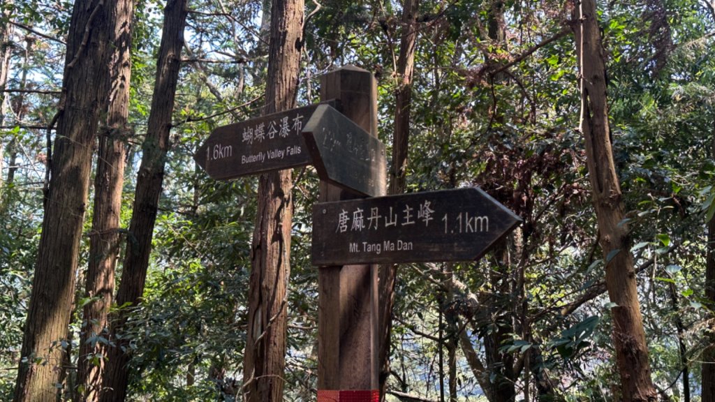 裡冷上唐麻丹O繞+蝴蝶谷_2742921