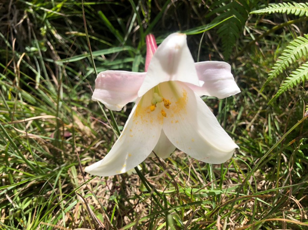 玉山西峰.玉山主峰【在最高的地方 看到最_637235