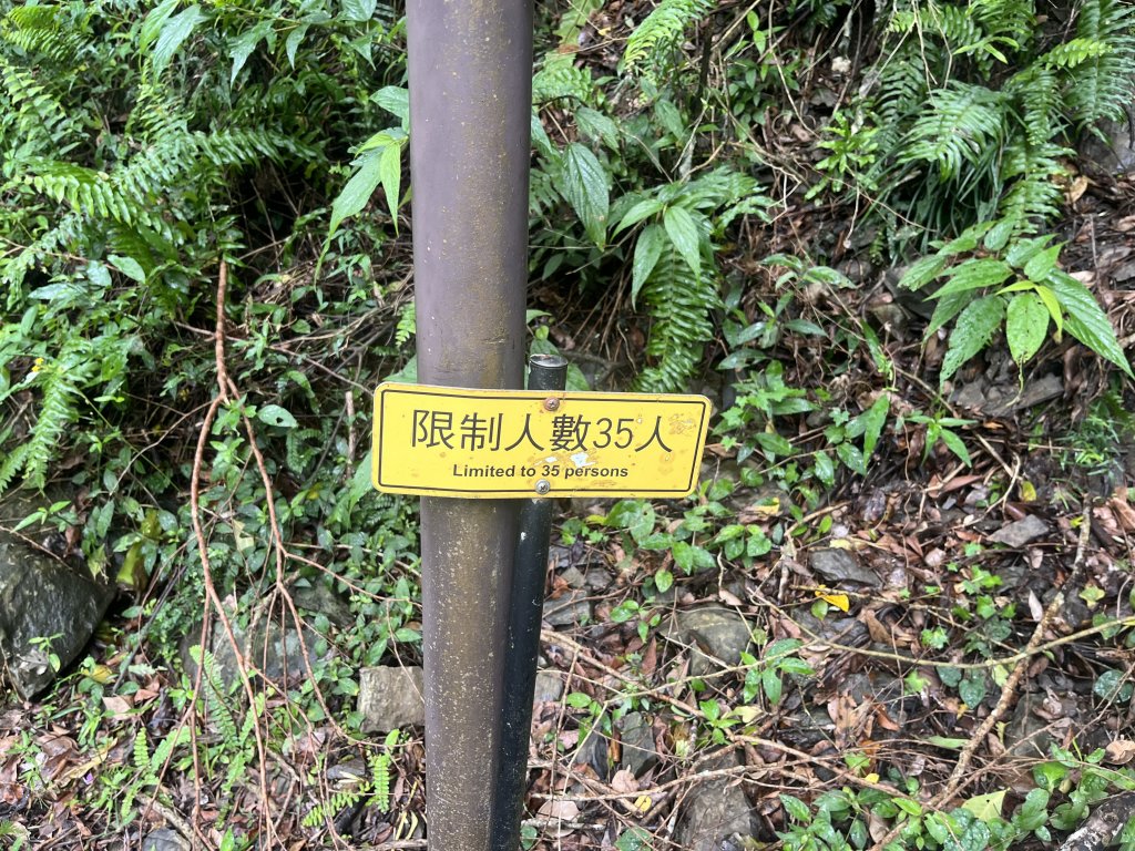 [屏步青雲 尋寶任務-03/10] 2024_0917 雙流國家森林遊樂區（瀑布步道）_2597824