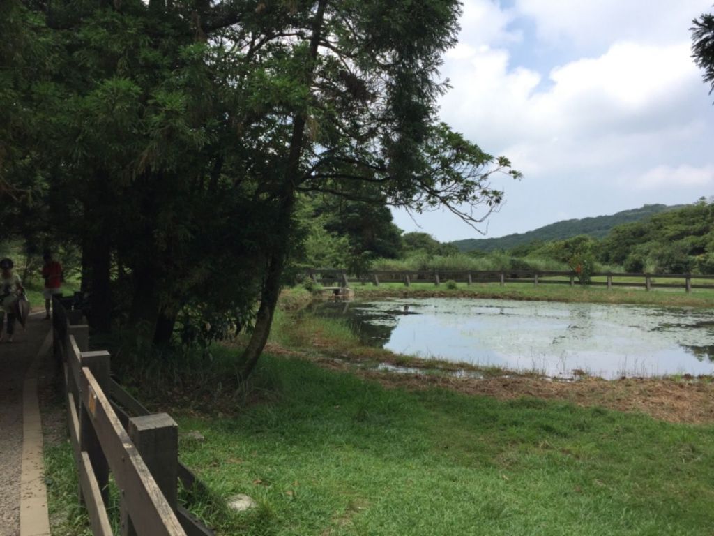 涓絲（魚路古道）-擎冷步道-七星山主峰下_359244