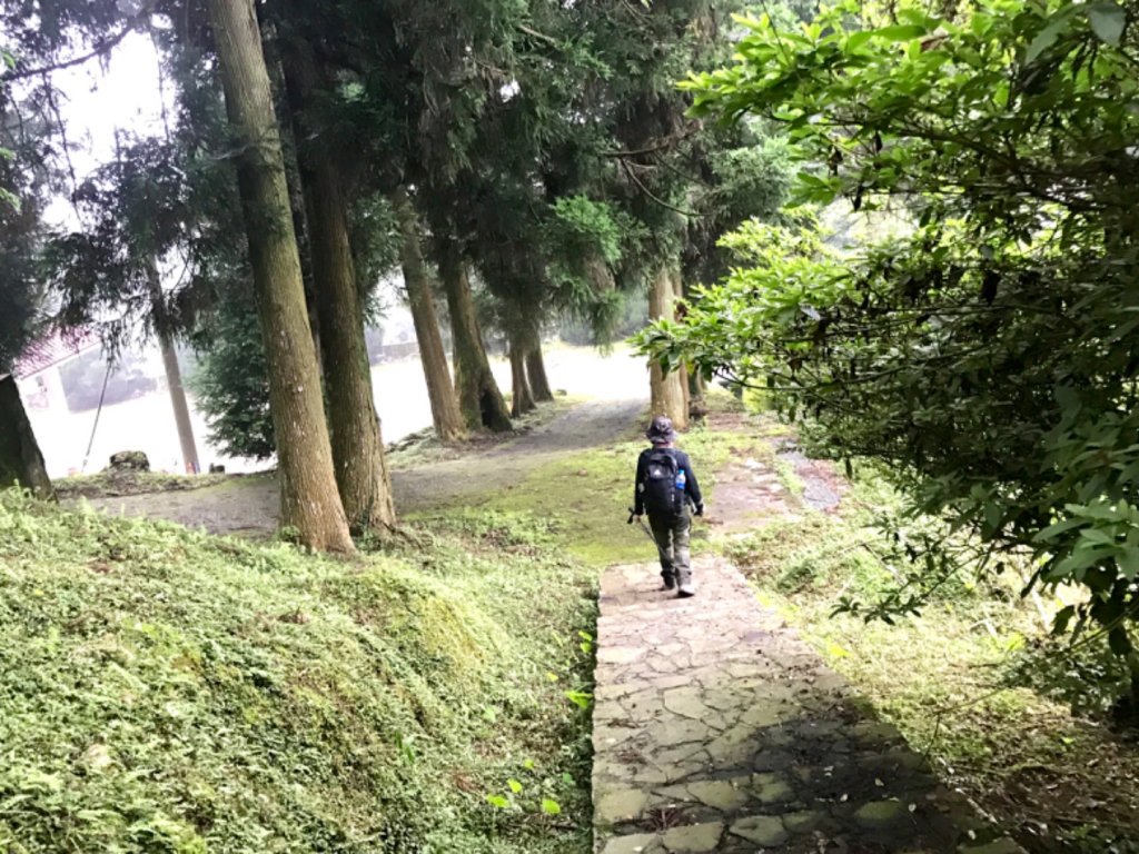 麥巴來山健走_592678