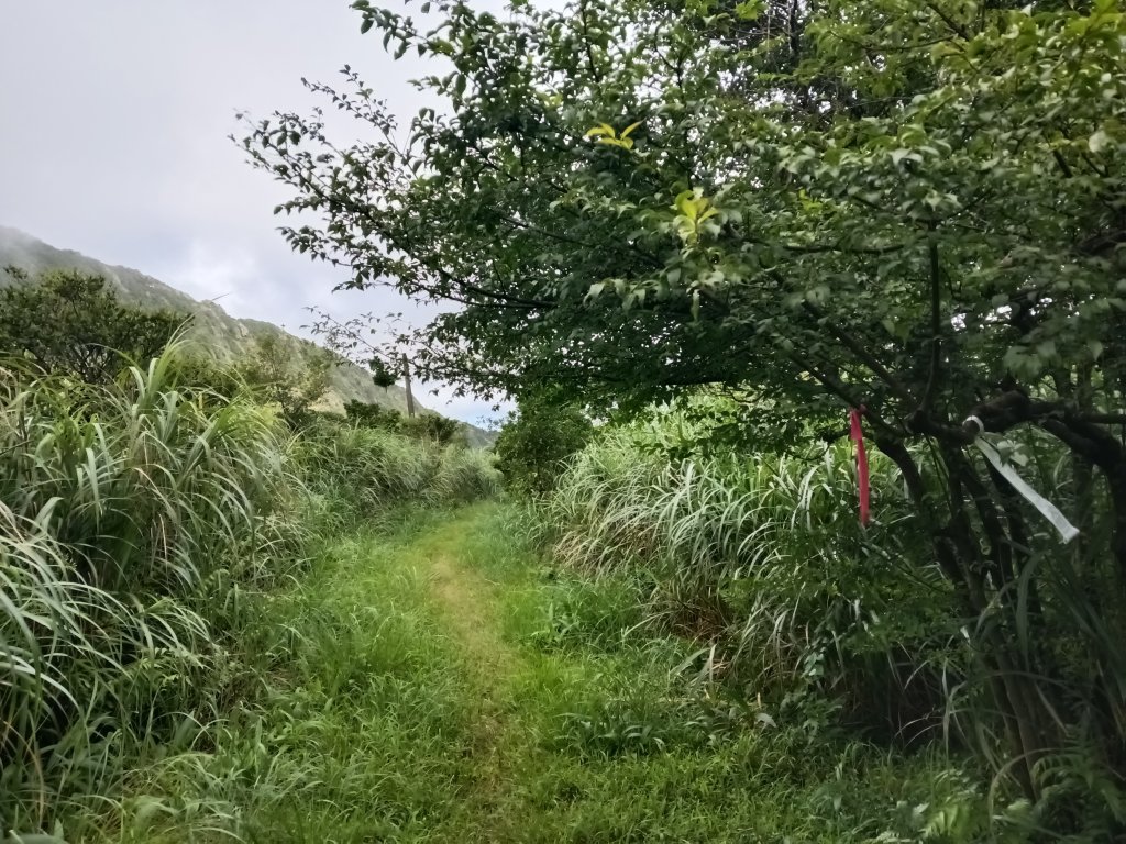 瑞芳區找尋半屏大瀑布未果_2880945