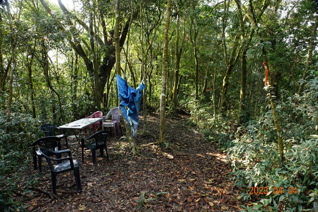 屏東 瑪家、泰武 真笠山、鱈葉根山、日湯真山_2103064