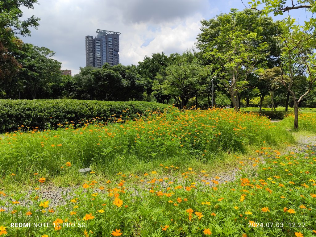 大安森林公園【走路趣尋寶】【臺北健走趣】_2541513