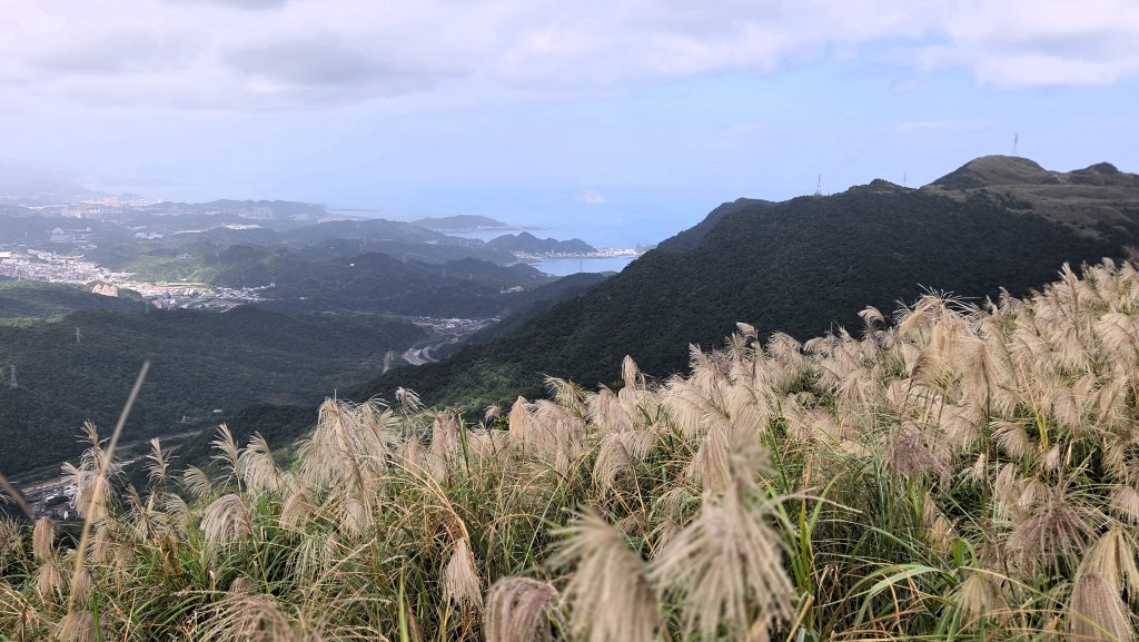 秋季品味古道與芒海的山行在猴硐牡丹山與金瓜石山_2950967