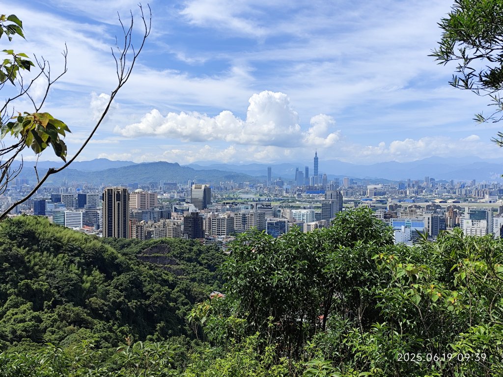 內湖金面山環狀步道封面圖