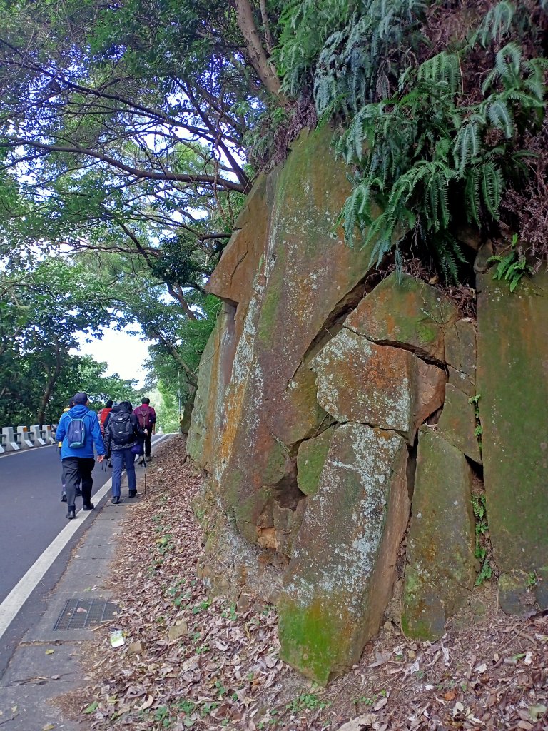 天母→猴洞→半嶺→翠峰瀑布→天母古道→紗帽路旁磺溪祕境→陽明山前山公園→陽明醫院舊址【看健臺灣】_1973885