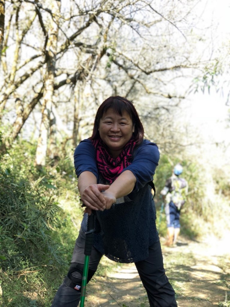 竹子尖山到獵鷹山_473233