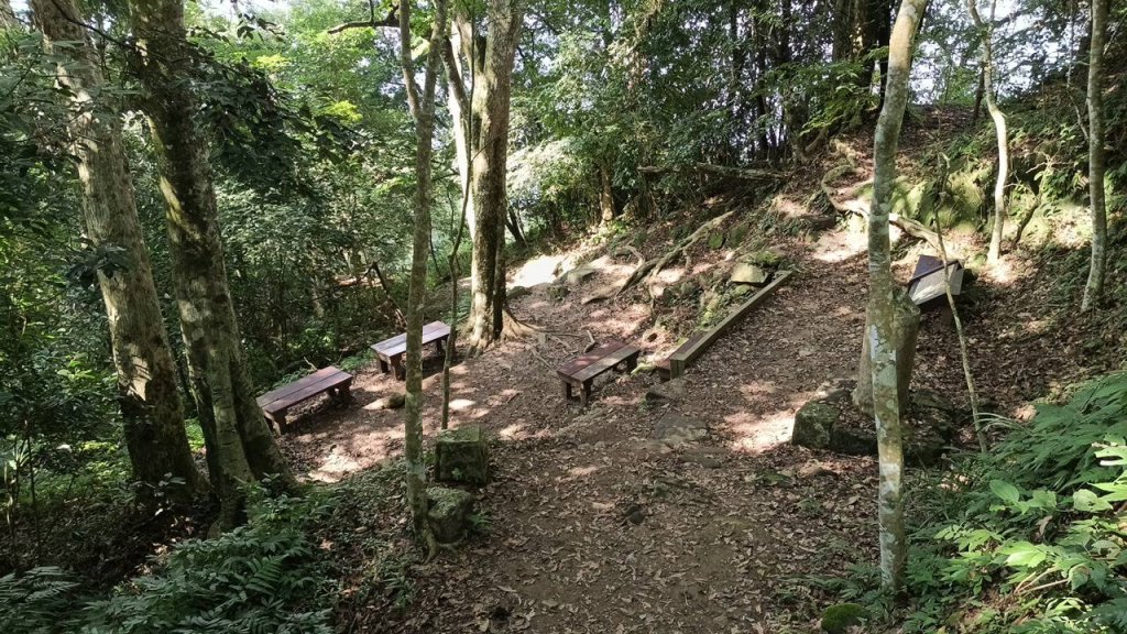 20251004 馬那邦山 - 珠湖 登山口_2904768