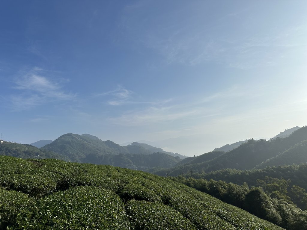 雲嘉十八連峰_1932579