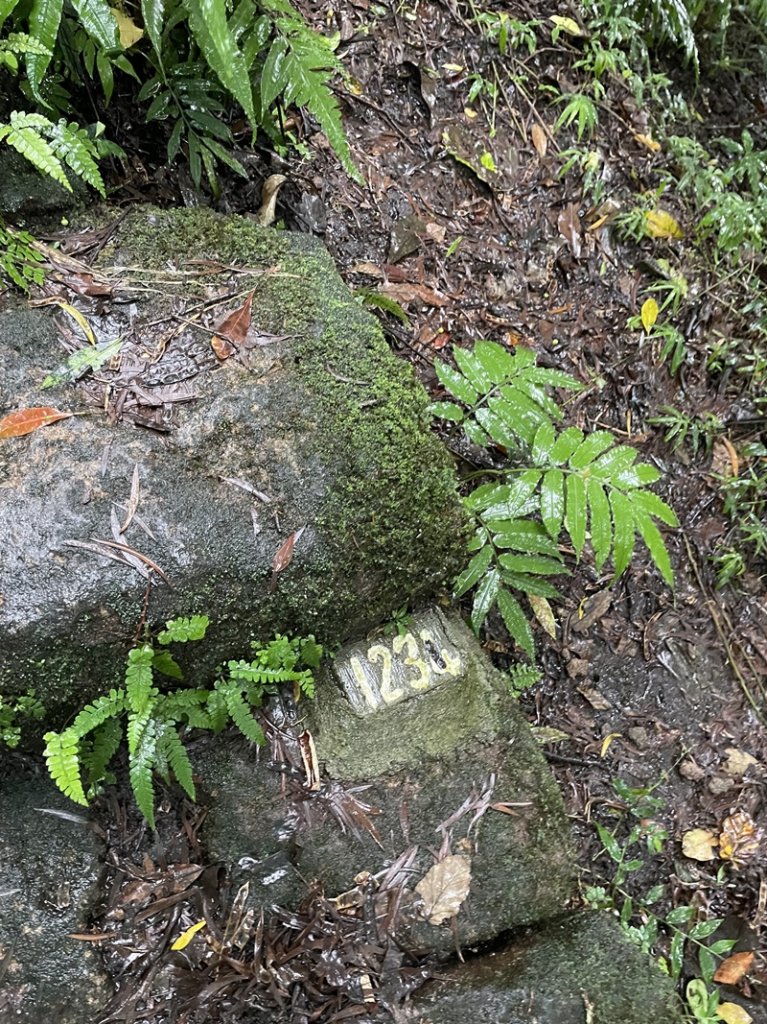 滿水的向天池_2612914