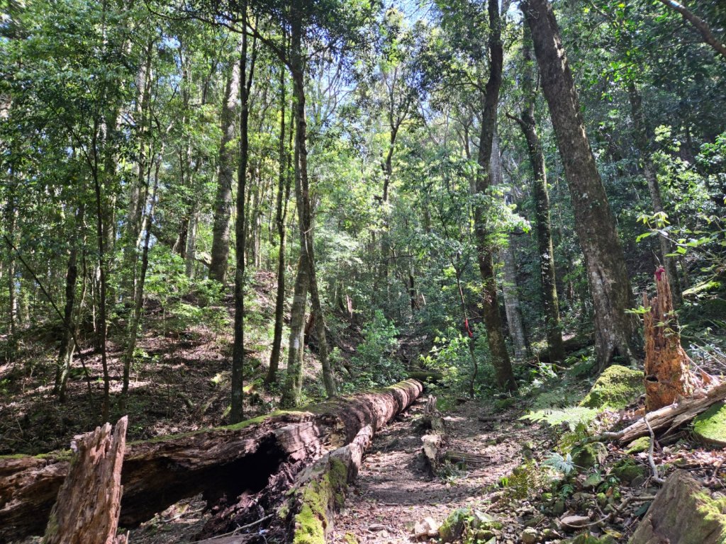 哈堪尼山_2761950