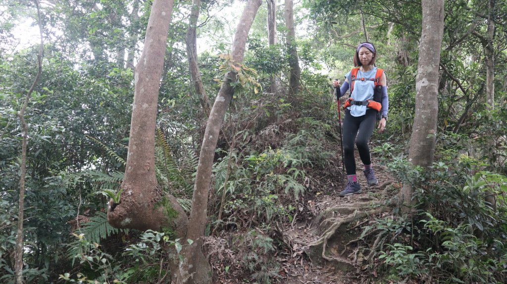 雙石縱走登山健行趣(小百岳24號&25號)_2169471