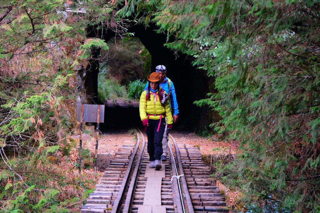 消失的眠月線_871963