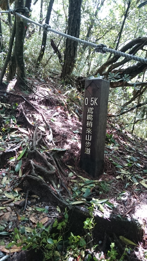 鳶嘴山步道_24391