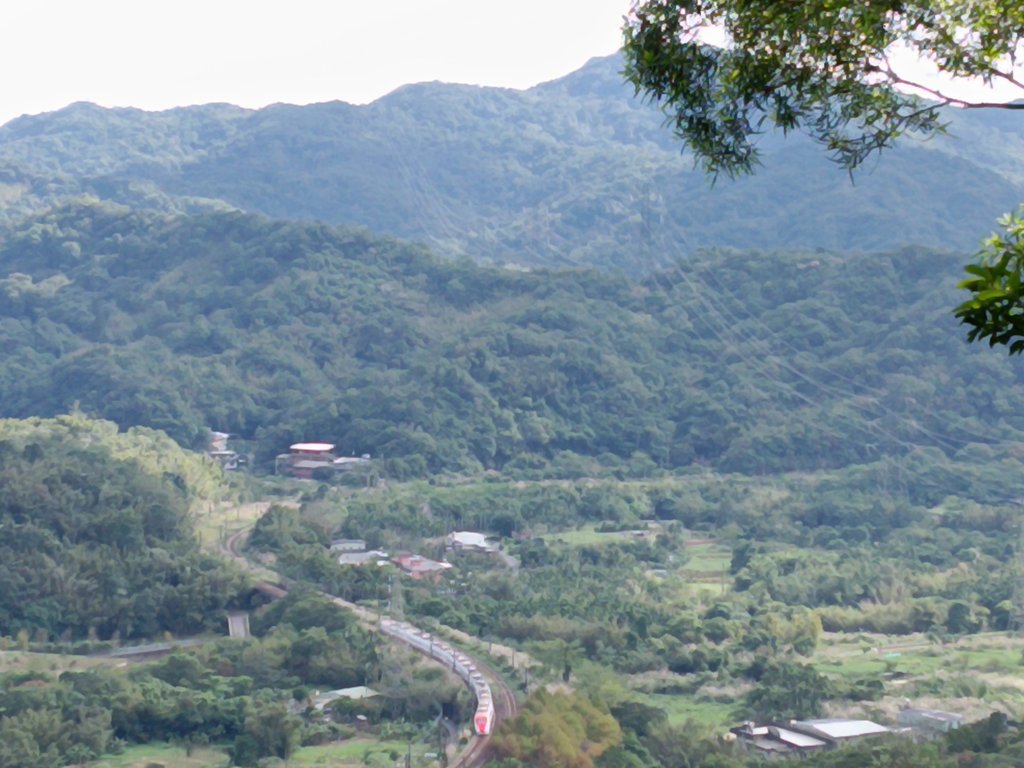 雙溪區聖南寺朝山古道+大竹林山(未果)封面圖