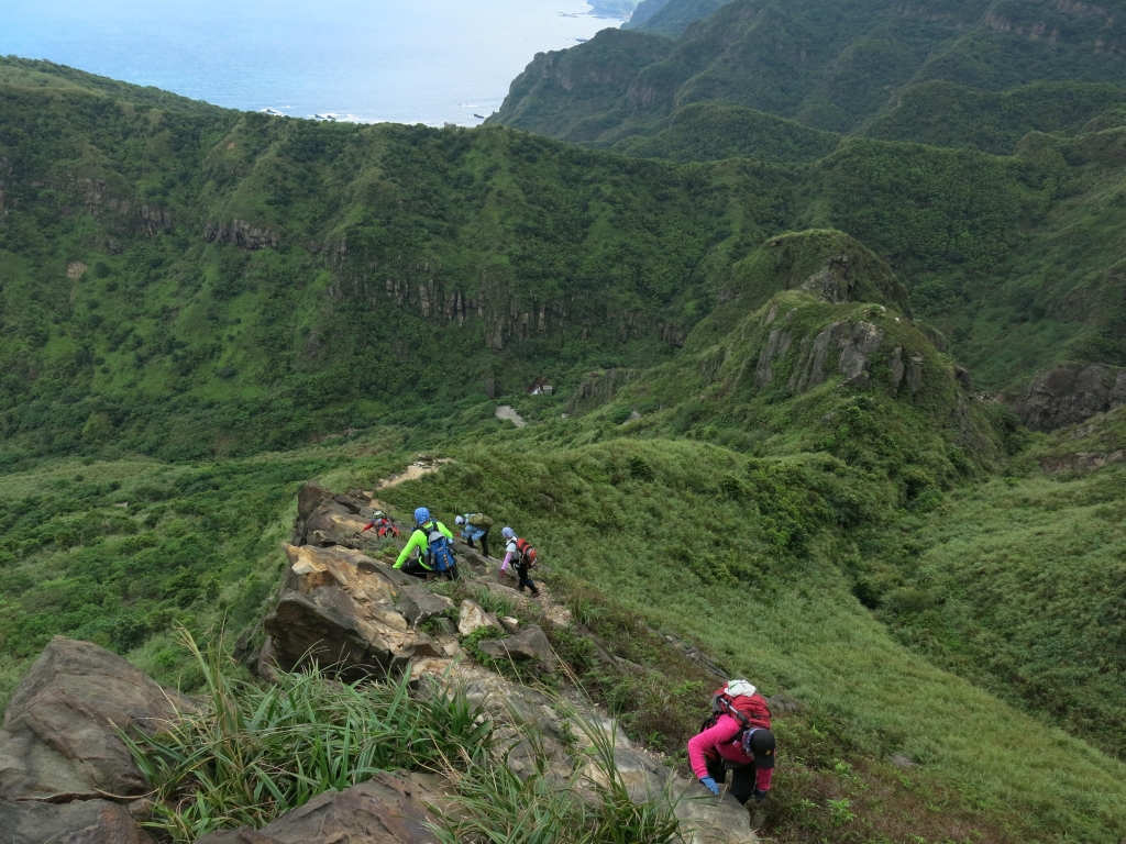 黃金十稜之劍龍鋸齒茶壺俯瞰四稜連走_51952