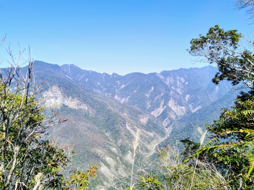 步道巡訪員│鳥嘴山步道 2 月巡訪日誌_820163