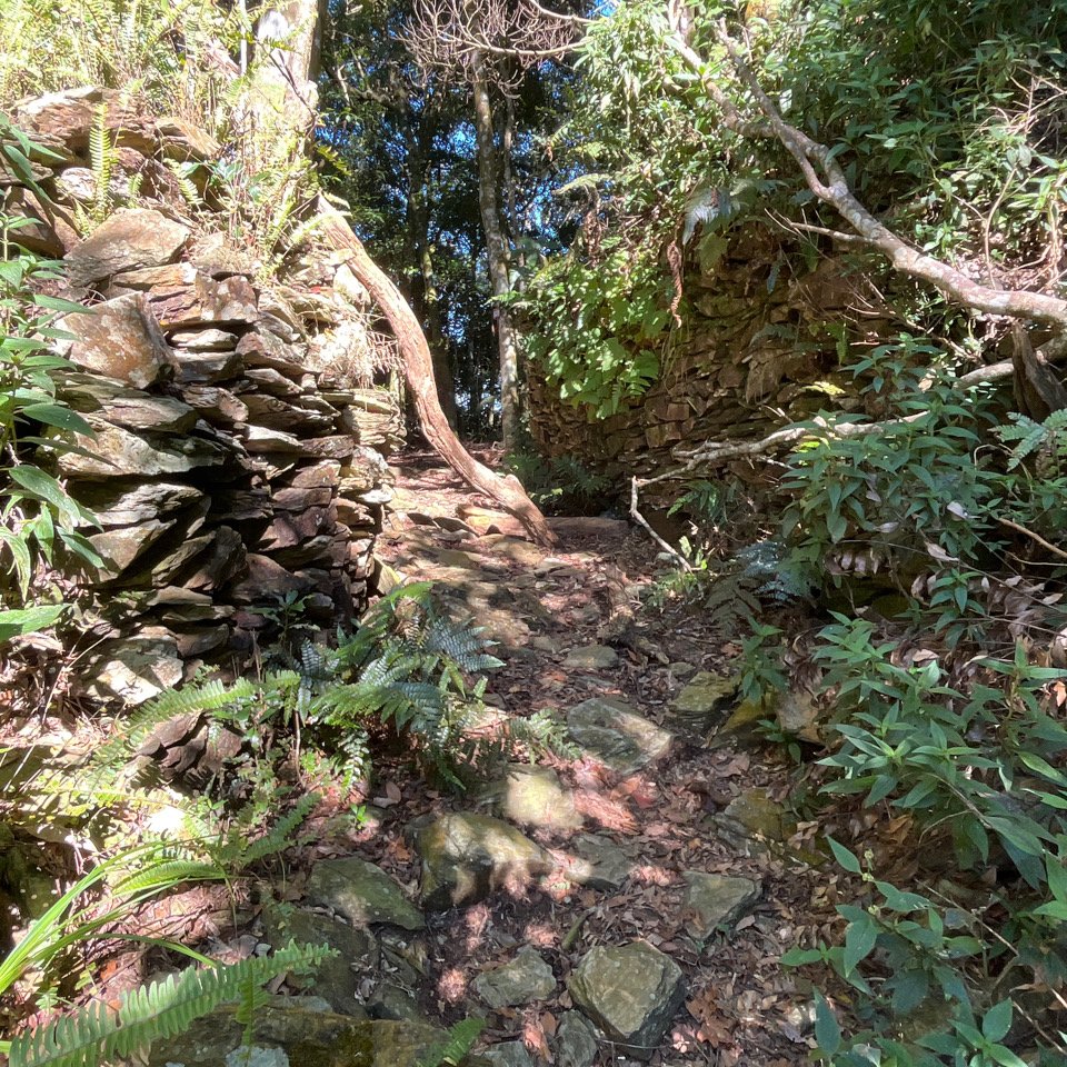 20251116_鳴海山（高雄小百岳）_2941560