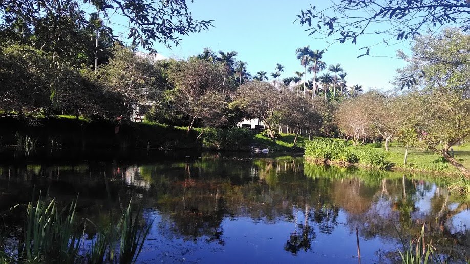 2018 12/2 拉索埃湧泉封面圖