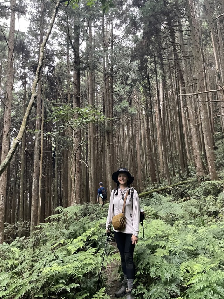 麥巴來_2536726