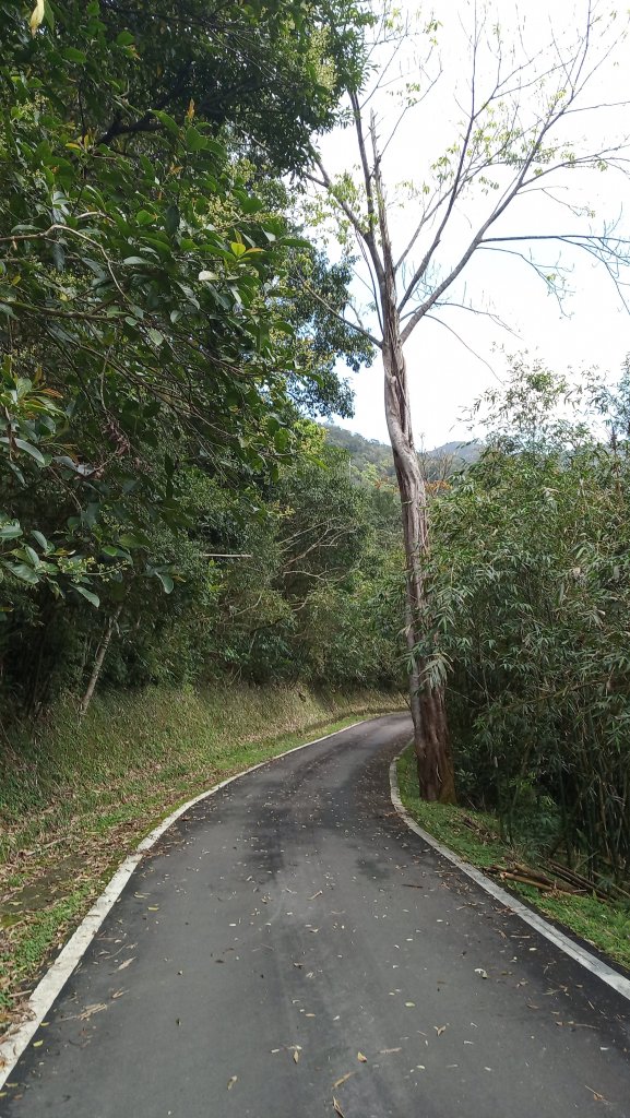 疾速礁溪試跑_880725