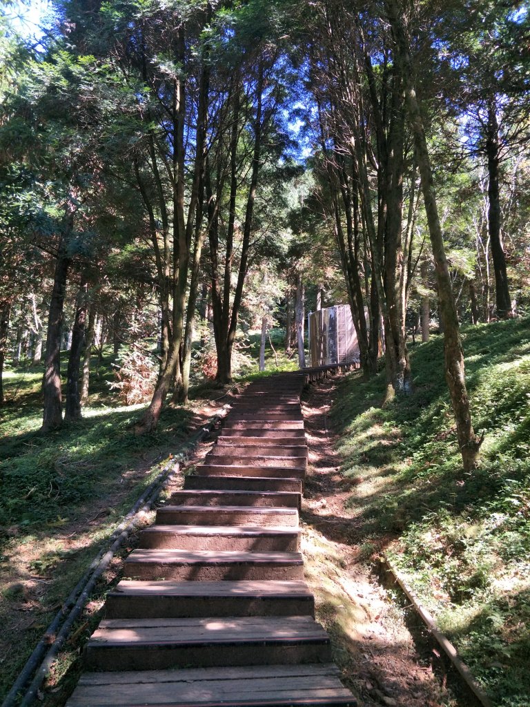 2020 10 28 東眼山自導式步道_1146695