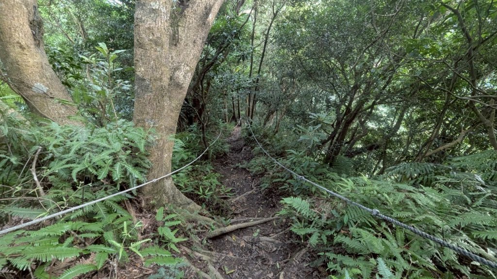 114.06.14雙石縱走&石門水庫-石牛山之旅_2812309