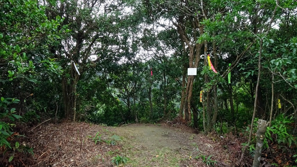 槓尾山,四分尾山,和尚頭山,大尖山_2244973