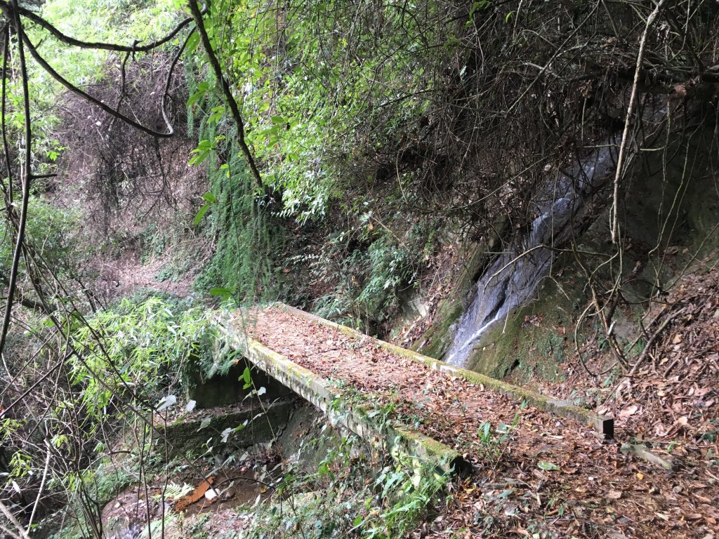 八通關山、八通關山西峰、秀姑巒山_525486