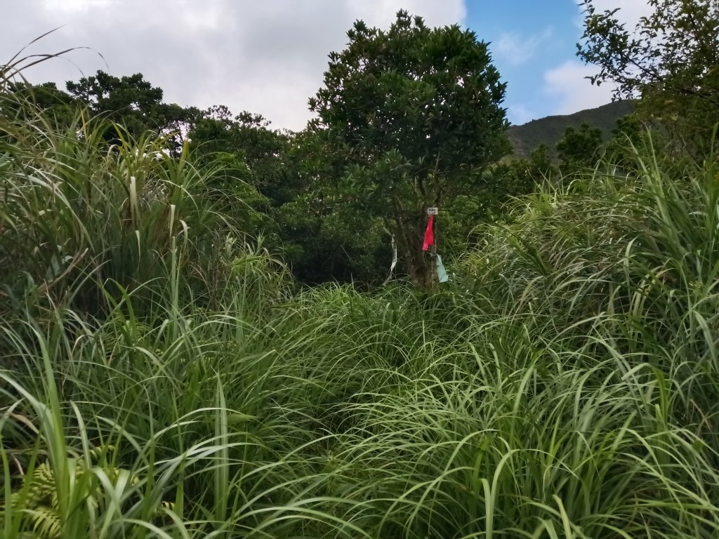 瑞芳區找尋半屏大瀑布未果_2880948